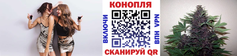 Купить закладки  Ельня  МАРИХУАНА семена 